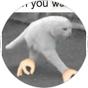 EDEN PHILLIPS profile picture